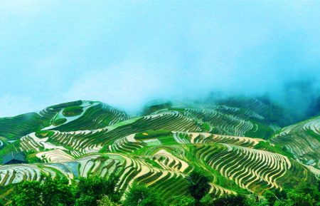 南宁、巴马长寿村、德天瀑布、北海双飞8天