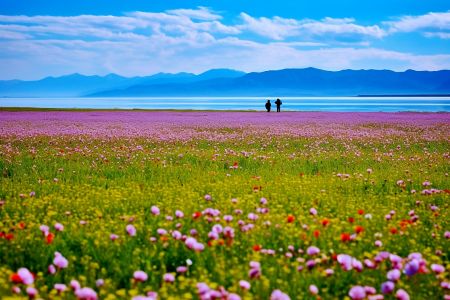 新疆全景游·疆山无限南北疆14日游